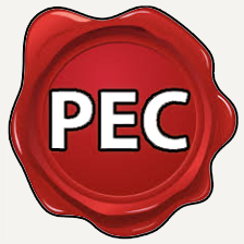uploaded/EVIDENZA2020/pec/pec-img-irregolari.png