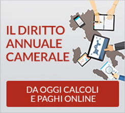 IL DIRITTO ANNUALE CAMERALE