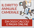 uploaded/evidenza 2016/diritto annuale.jpg