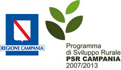 uploaded/evidenza 2016/logoregionecampania.jpg