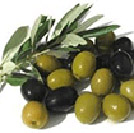 uploaded/evidenza 2016/olio benevento.jpg