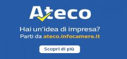 Codici Ateco