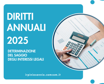 Diritto Annuale Diritto Annuale