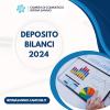 Deposito Bilanci 2024