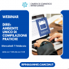 Webinar per le imprese su DIRE